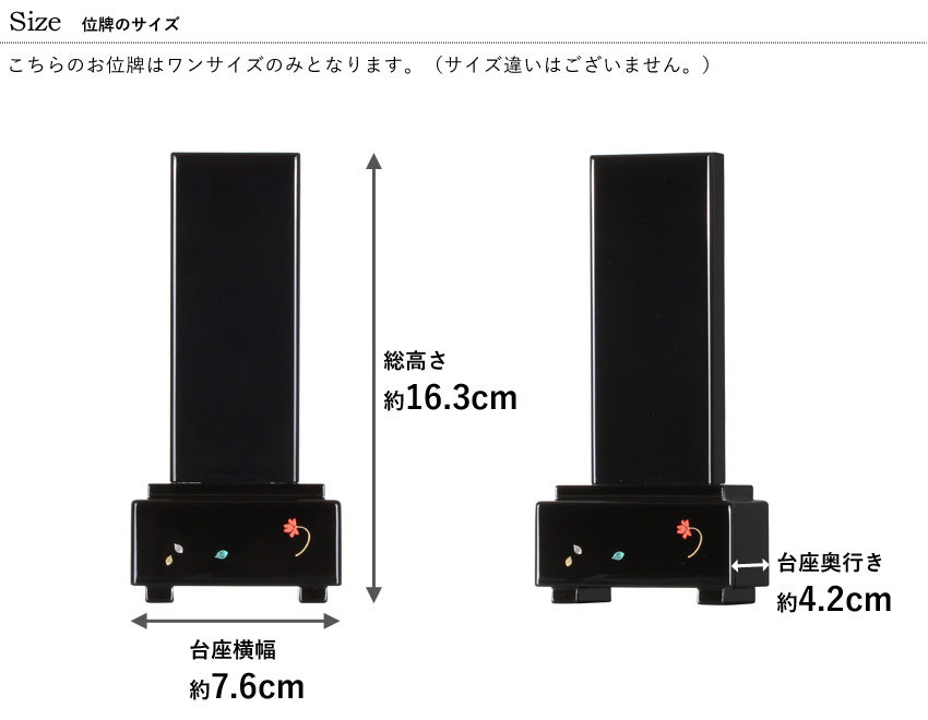 サイズ