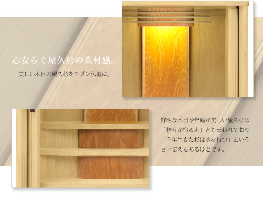 富士　NL