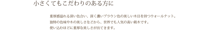 小さくてもこだわりのある方に…　思わず触れたくなる温もり　清潔感と透明感あふれる木材、ハードメープル。　明るい肌色から独特の深い飴色に変化していく美しさも特徴。